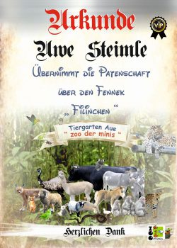 18-05-26-Uwe-Steimle-Urkundekl
